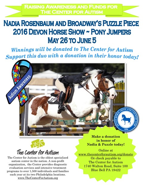 devon horse show flyer_puzzle_web